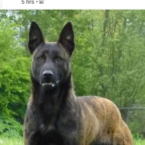 Meet your Posher, Celeste